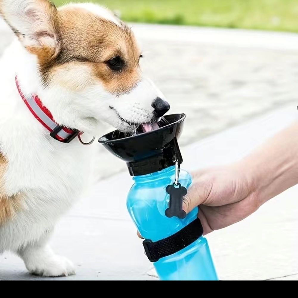 Leak-Proof Pet Water Bowl - Portable 0.5L Capacity
